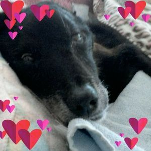 Meet your Posher, Sue